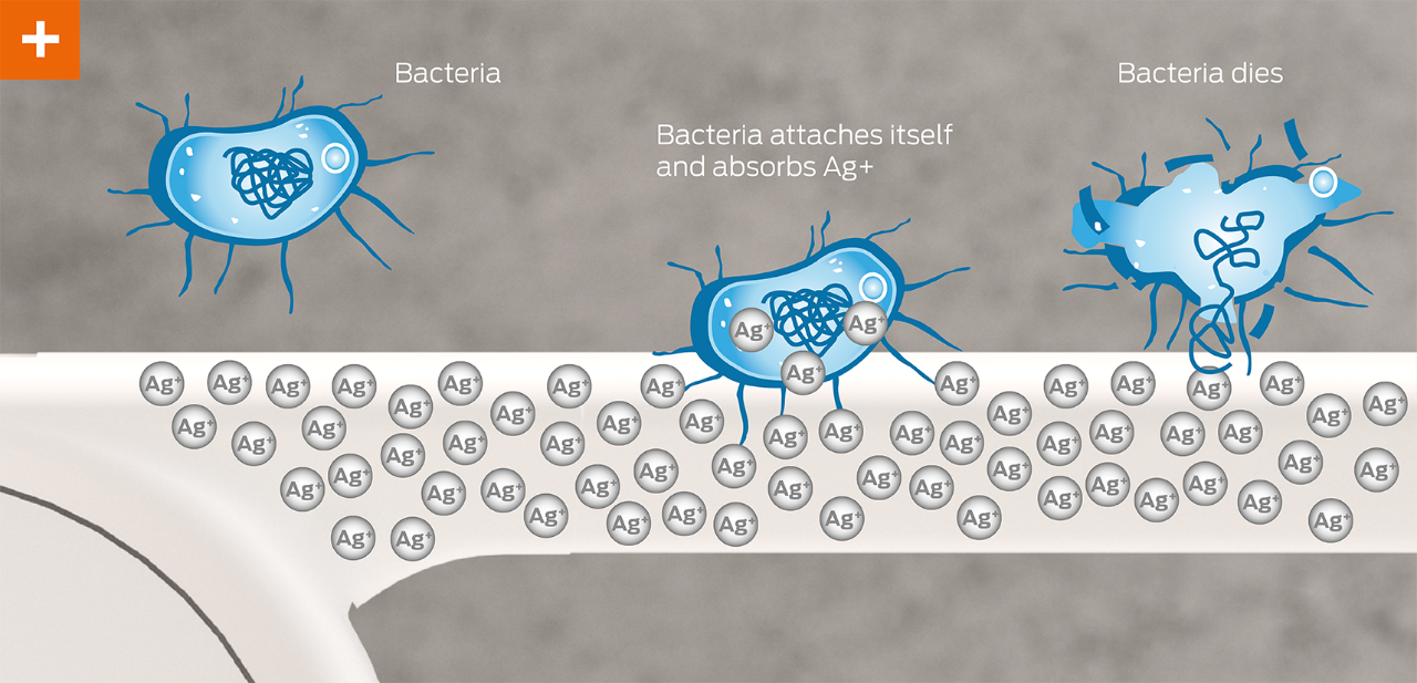 Bactirea